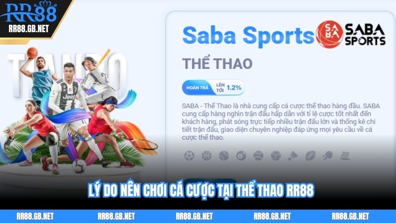 Lý do nên chơi cá cược tại thể thao RR88